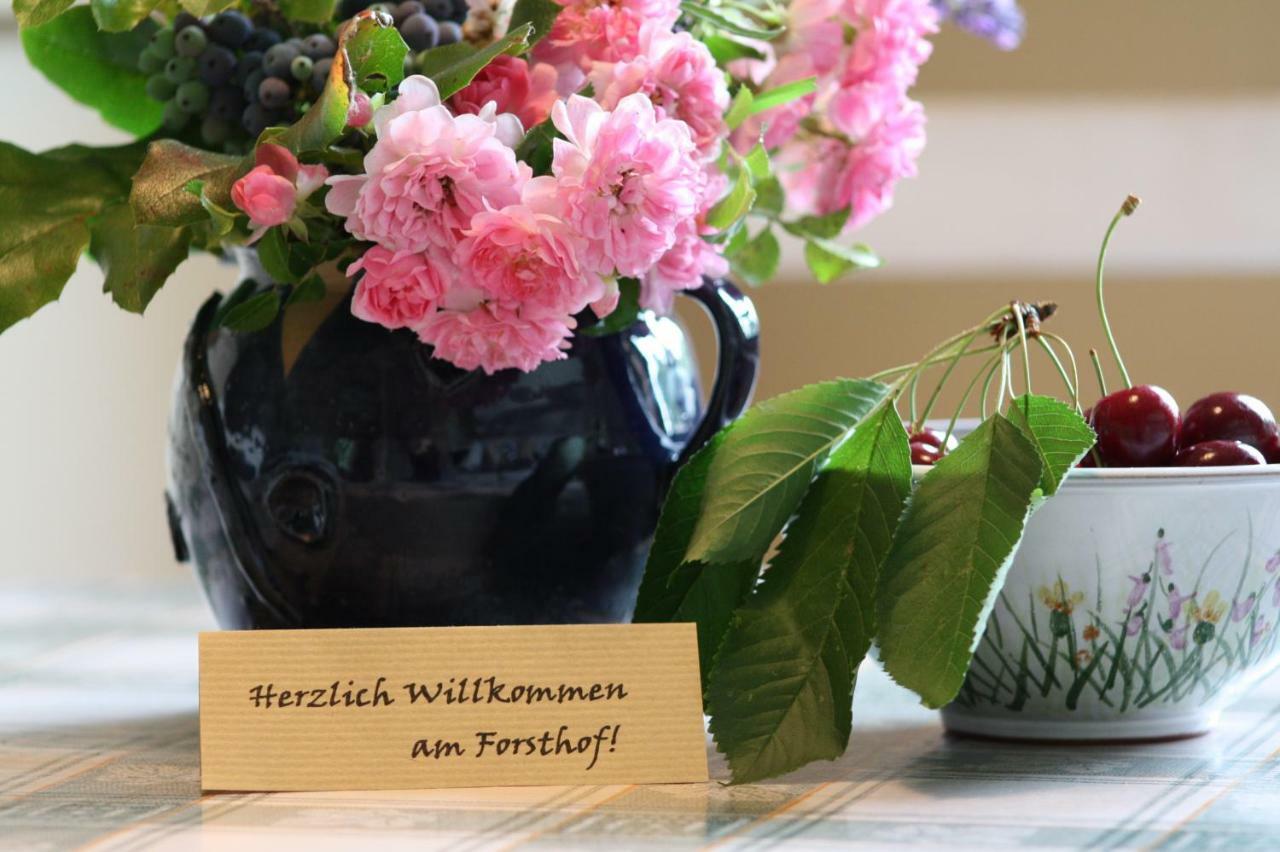 Forsthof Niendorf Teterow Exterior foto